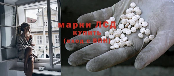 spice Гусев