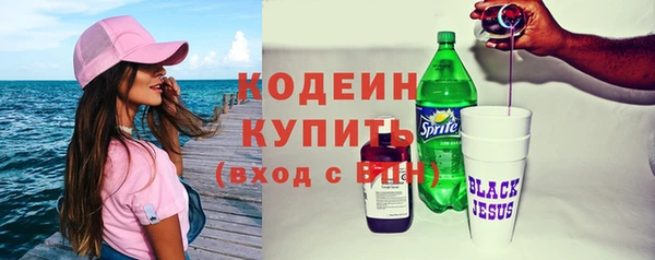 гашик Гусь-Хрустальный