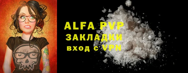 гашик Гусь-Хрустальный