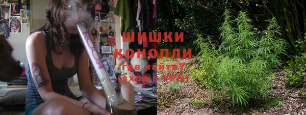 гашик Гусь-Хрустальный