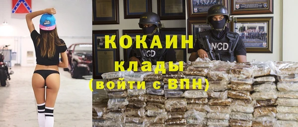 гашик Гусь-Хрустальный