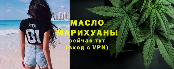 гашик Гусь-Хрустальный