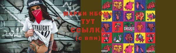 spice Гусев
