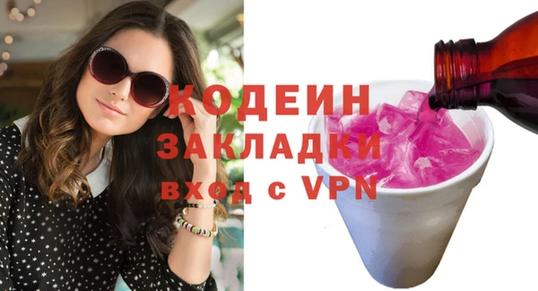 гашик Гусь-Хрустальный