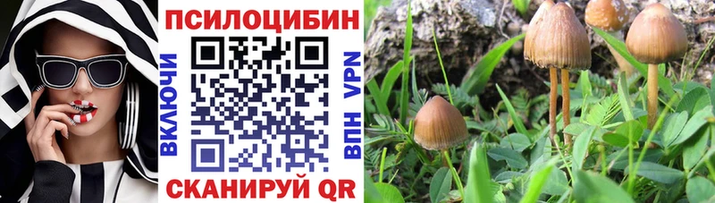 Купить закладки  Чистополь  Псилоцибиновые грибы мухоморы 